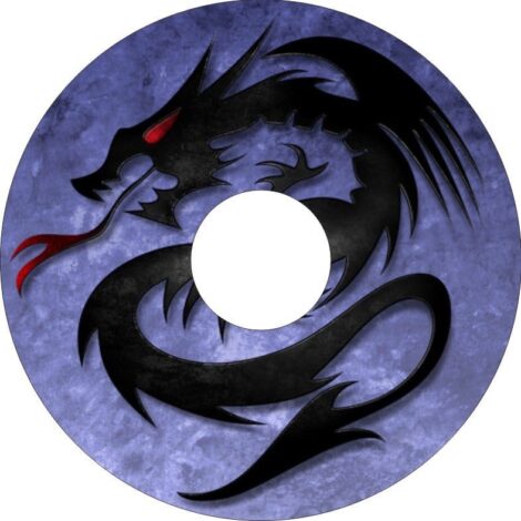 Osłony szprych 3013 IndyArts