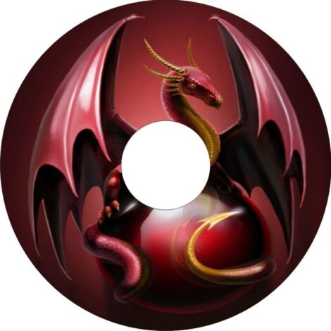 Osłony szprych 3015 IndyArts