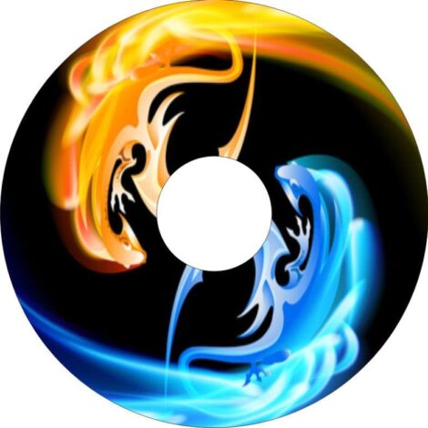 Osłony szprych 3017 IndyArts