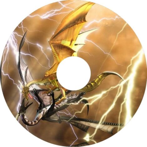 Osłony szprych 3018 IndyArts