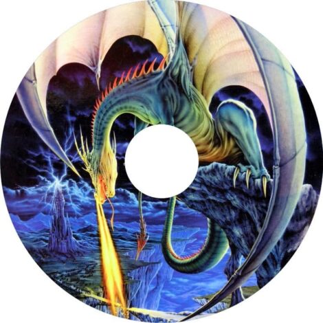 Osłony szprych 3019 IndyArts