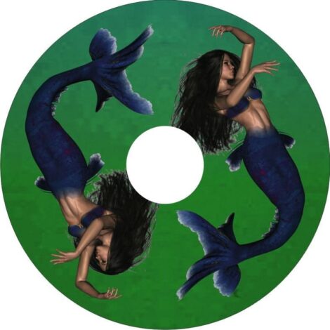 Osłony szprych 3218 IndyArts